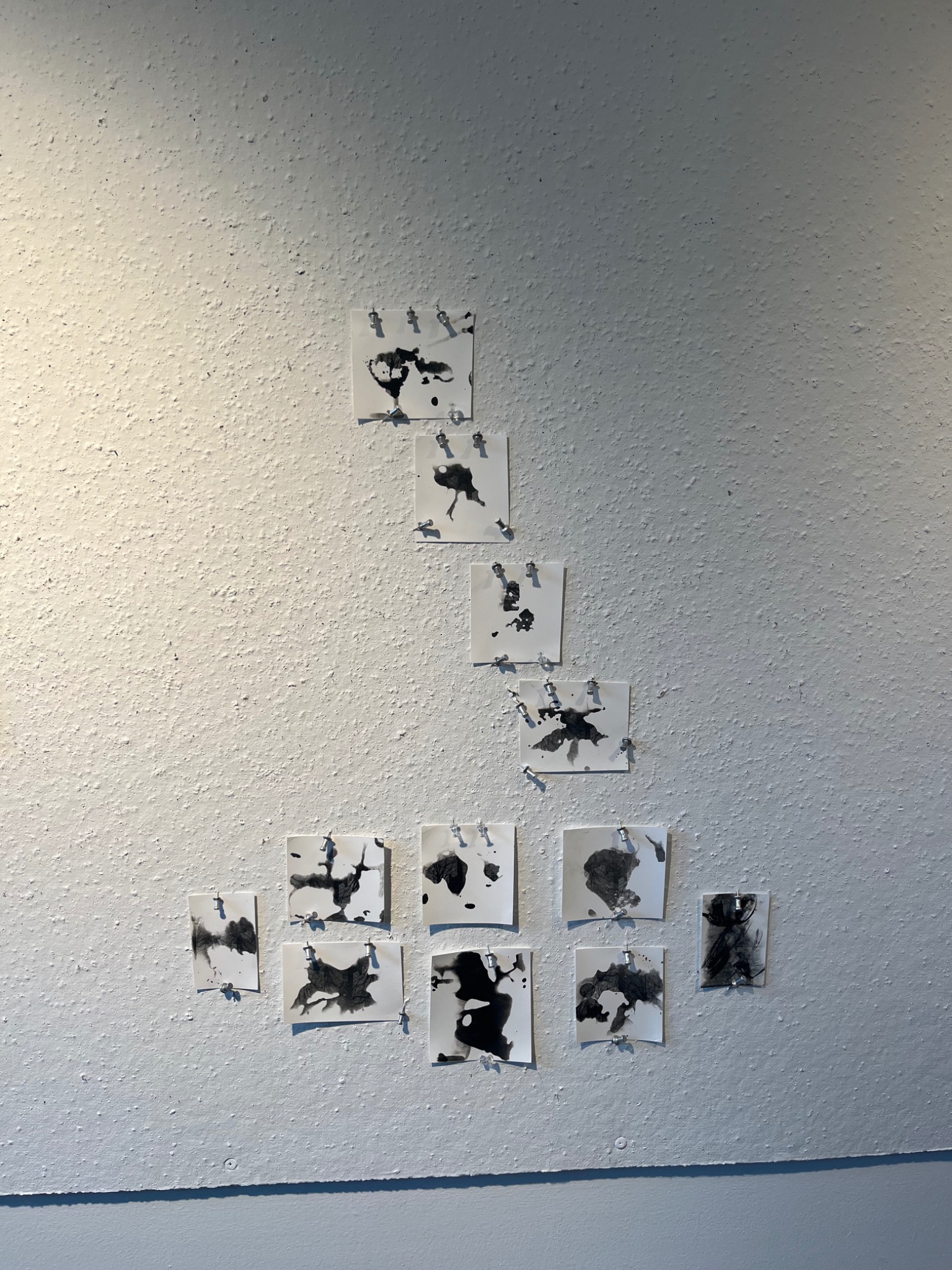 Installation of twelve small black-and-white photographic experiments arranged on a wall.